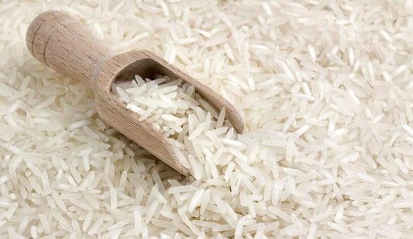 Global Outlook of Rice Market